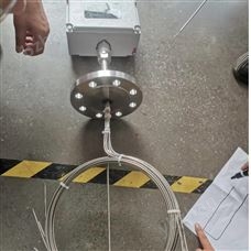 WRNKD多點鎧裝熱電偶