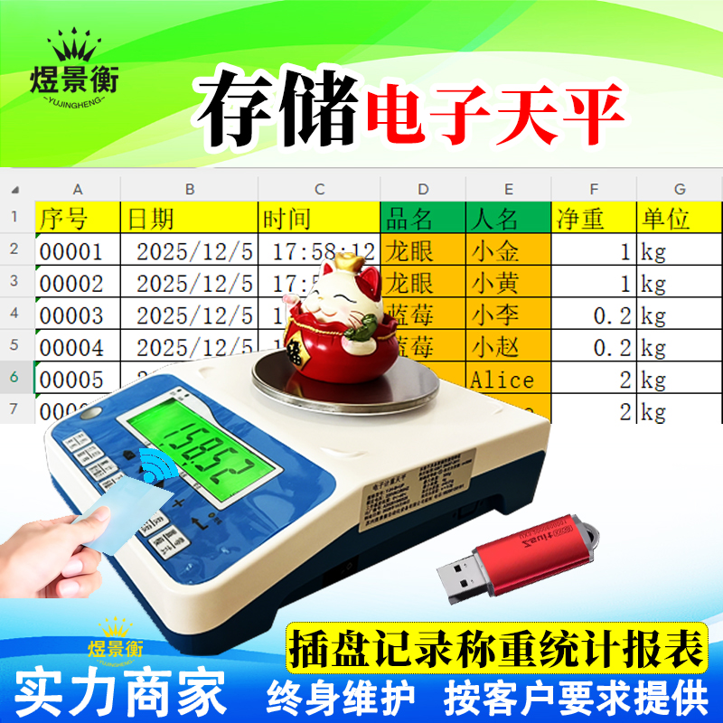 U 盘存储电子天平重量数据存储传输内在原理