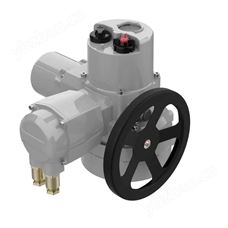 NKR-IQ智能型閥門電動執行器