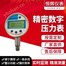 精密數字壓力表2