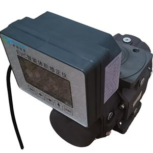 腰轮（罗茨）流量计