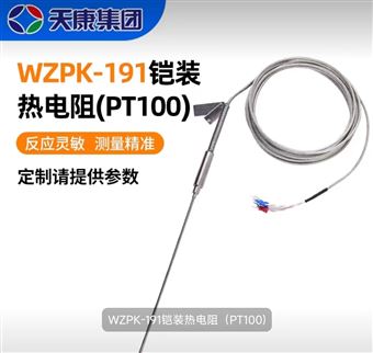 WRNK-191 WRNK2-191炉壁热电偶/热电阻-气体流量计
