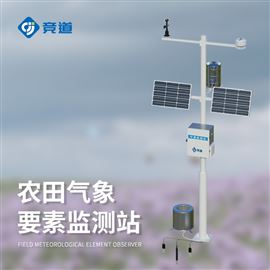 JD-NQ12农业小气候观测设备