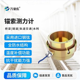 WX-MS1锚索计