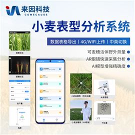 IN-XM05小麦表型检测仪