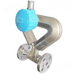 CG-15加氢流量计