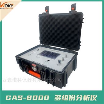 GAS-8000天然氣煤氣熱值分析儀