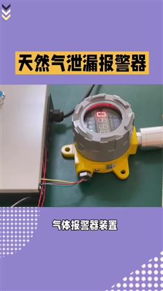 天然气泄露报警器