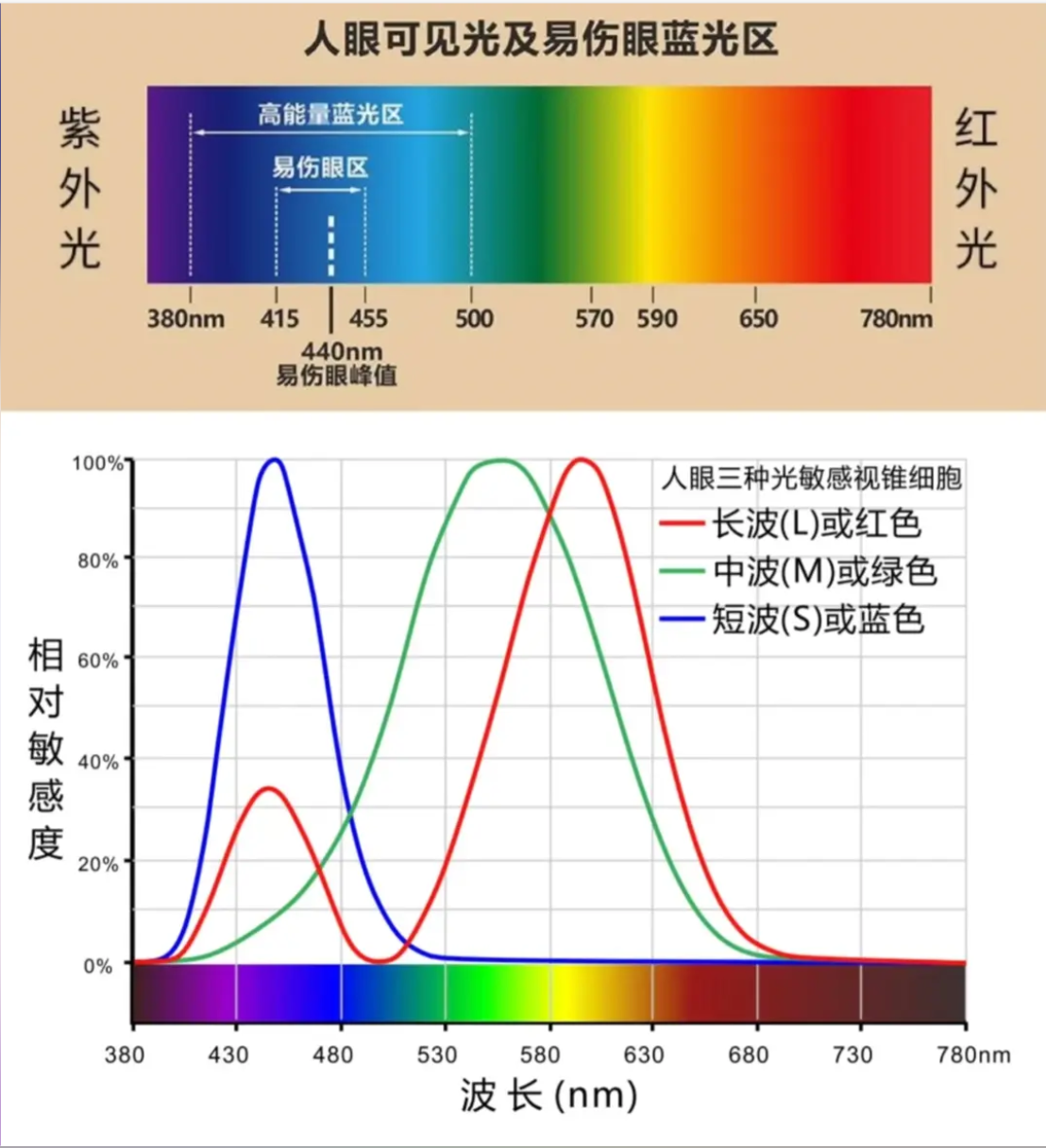 紫外光和可见光到底差在哪？一篇讲明白！