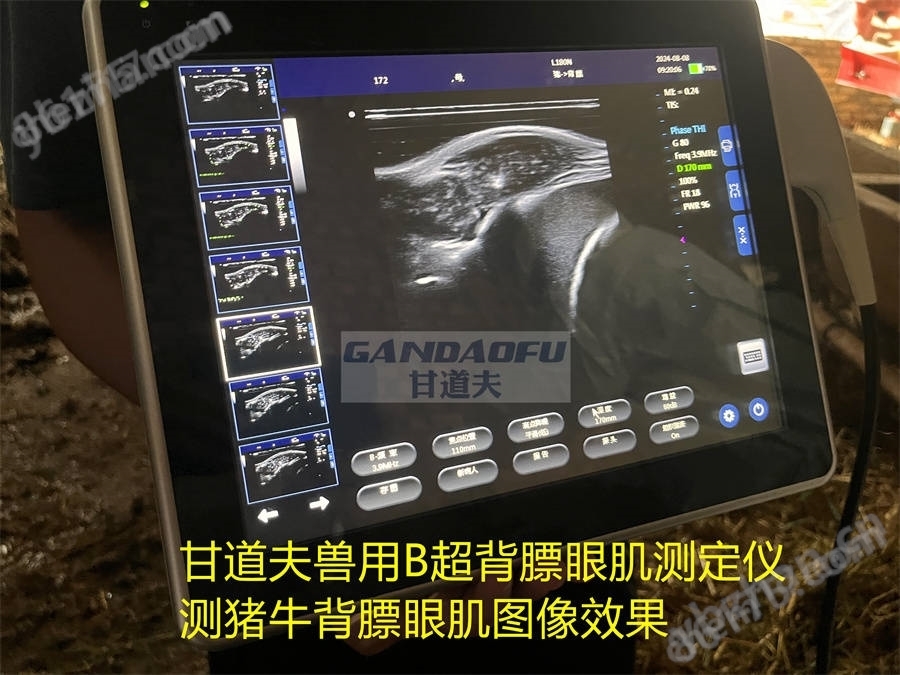 獸用B超牛羊背膘眼肌測定儀廠家價格報價