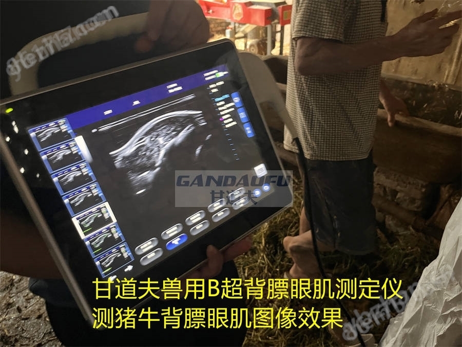 獸用B超牛羊背膘眼肌測定儀廠家價格報價
