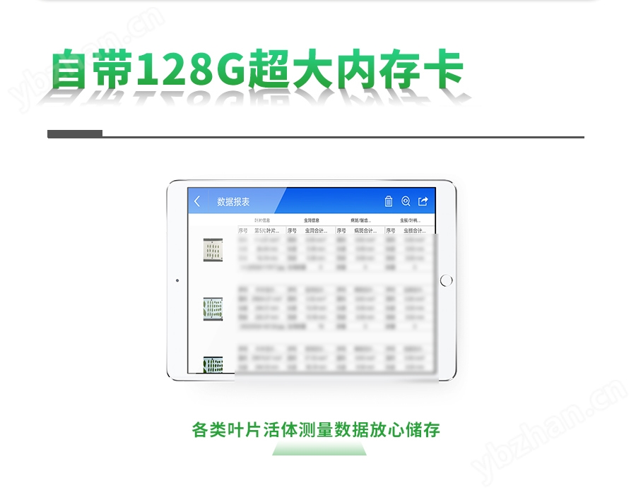 智能葉面積測量系統(tǒng)