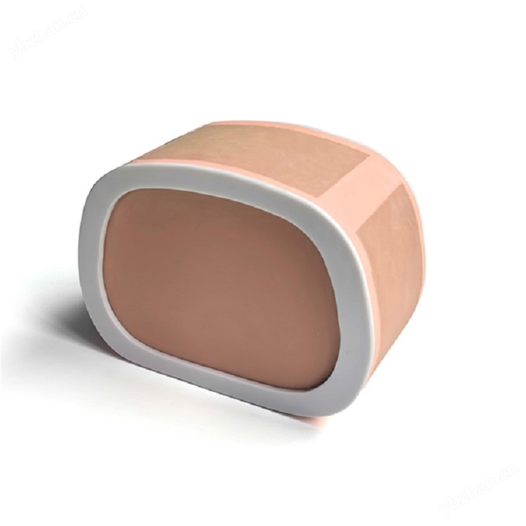 Molde de ultrasonido abdominal