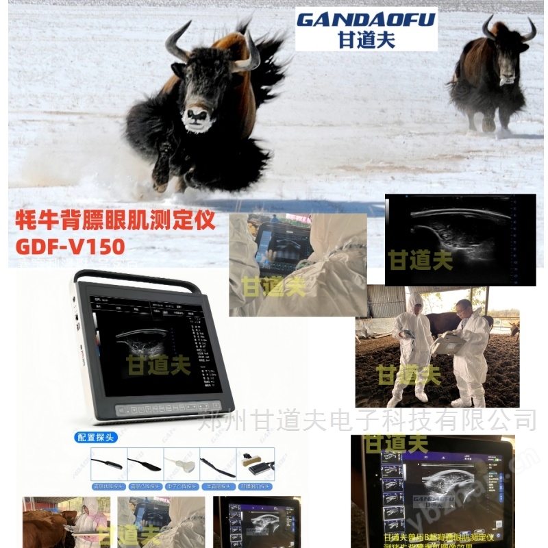 牦牛背膘眼肌测定仪价格牦牛用B超厂家报价