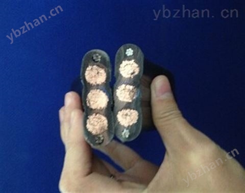 龍門吊扁電纜|起重機用扁電纜型號-特種電纜