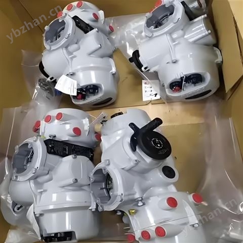 羅托克執(zhí)行器ROTORK IQM25/IQM35/IQM90