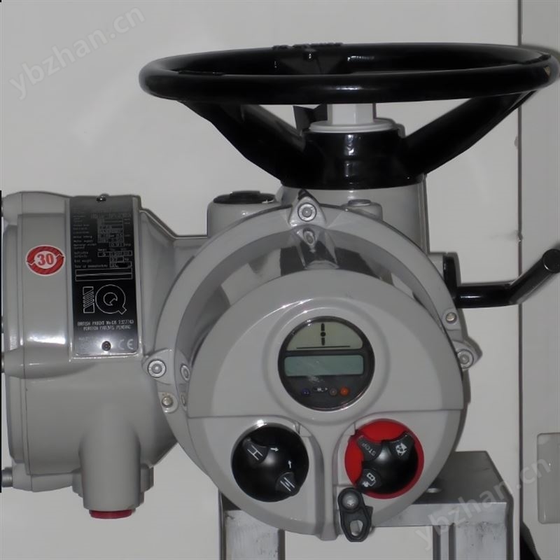 羅托克執行器ROTORK IQM25/IQM35/IQM90