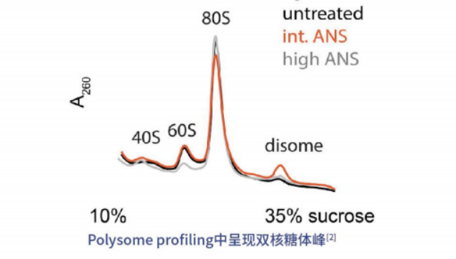 polysome profiling（多聚核糖体图谱分析）——解析翻译调控机制的金标准