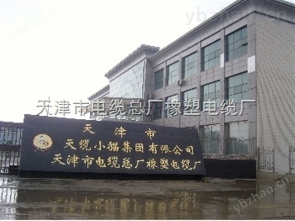 50对铠装通讯电缆 20对铠装电缆-信号电缆