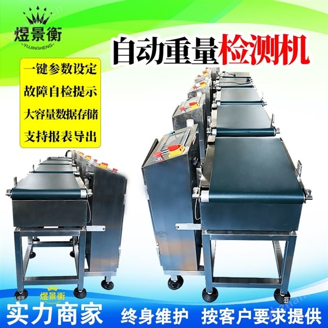 以太网通讯全自动流水线称重机