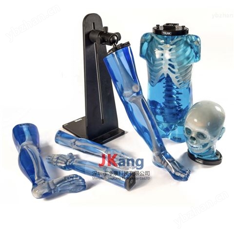 CIRS 715 兒童仿真模體